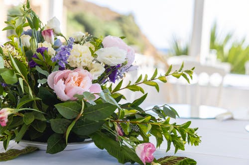 有关树叶, 浅焦点, 漂亮的免费素材图片