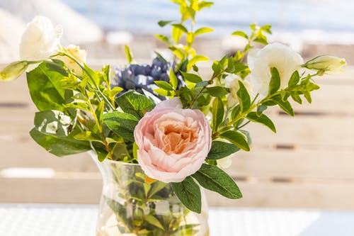 有关天气好, 模糊的背景, 树叶的免费素材图片