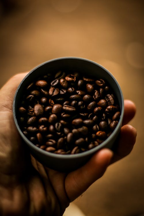 有关咖啡豆, 手, 握住的免费素材图片