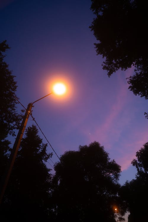 有关低角度拍摄, 光, 垂直拍摄的免费素材图片