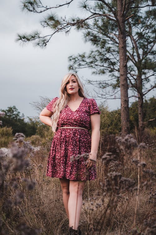 有关下落, 佛罗里达, 垂直拍摄的免费素材图片