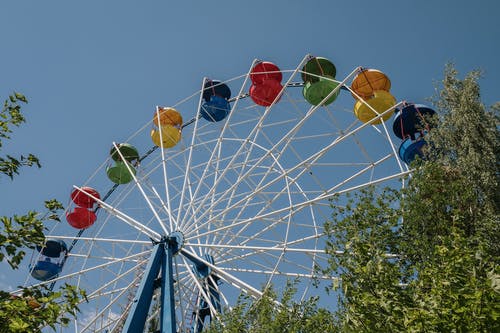 有关低角度视图, 公园, 夏天的免费素材图片