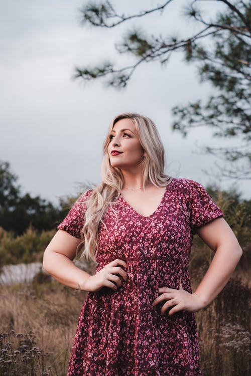 有关下落, 佛罗里达, 垂直拍摄的免费素材图片