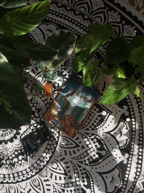 有关Flatlay, 垂直拍摄, 工厂的免费素材图片