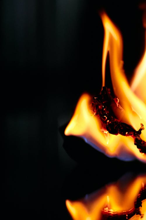 有关vfx, 动画, 合成的免费素材图片