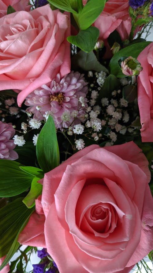 有关垂直的, 插花, 粉紅玫瑰的免费素材图片