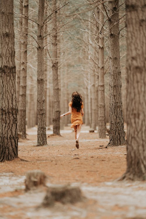 有关冬季, 后视图, 天的免费素材图片