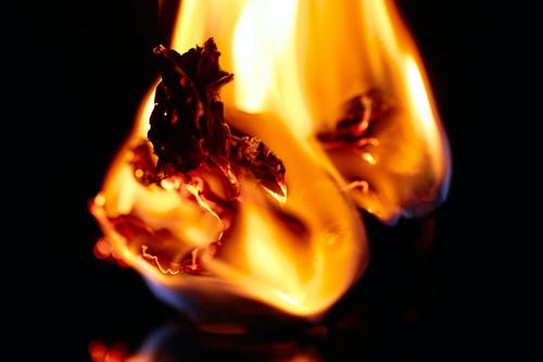 有关vfx, 动画, 合成的免费素材图片