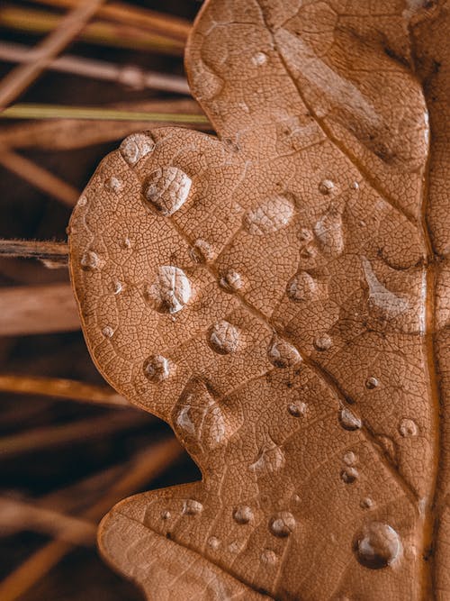 有关下落, 垂直拍摄, 壁纸的免费素材图片