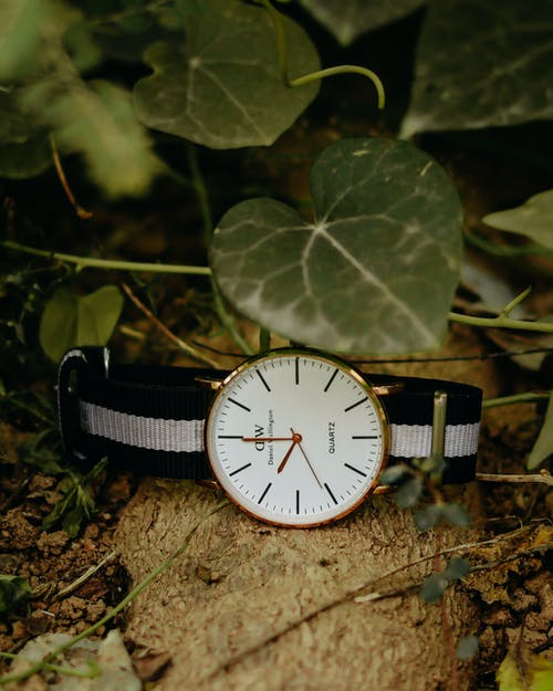 有关Analog Watch 美國手錶品牌, 垂直拍摄, 手錶的免费素材图片