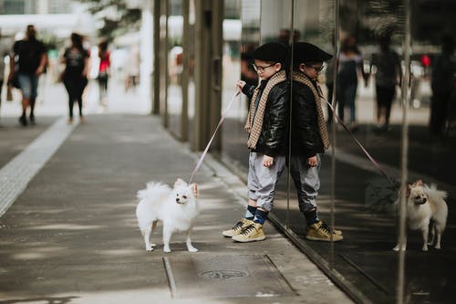 有关倚, 内容, 友谊的免费素材图片
