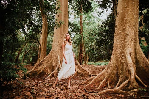 有关全景, 女人, 女性的免费素材图片