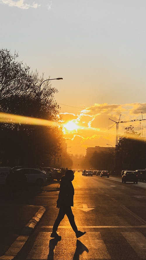 有关人行道, 剪影, 垂直拍摄的免费素材图片