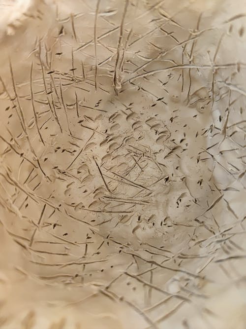 有关乾燥, 分数, 图案的免费素材图片