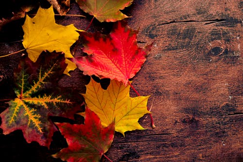 有关下落, 双色, 壁纸的免费素材图片