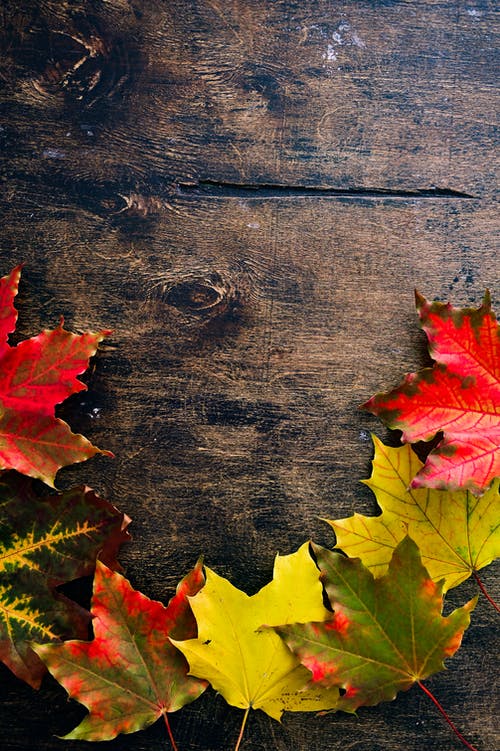 有关下落, 双色, 垂直拍摄的免费素材图片