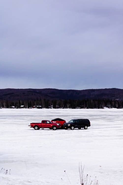 有关停, 冬季, 垂直的的免费素材图片
