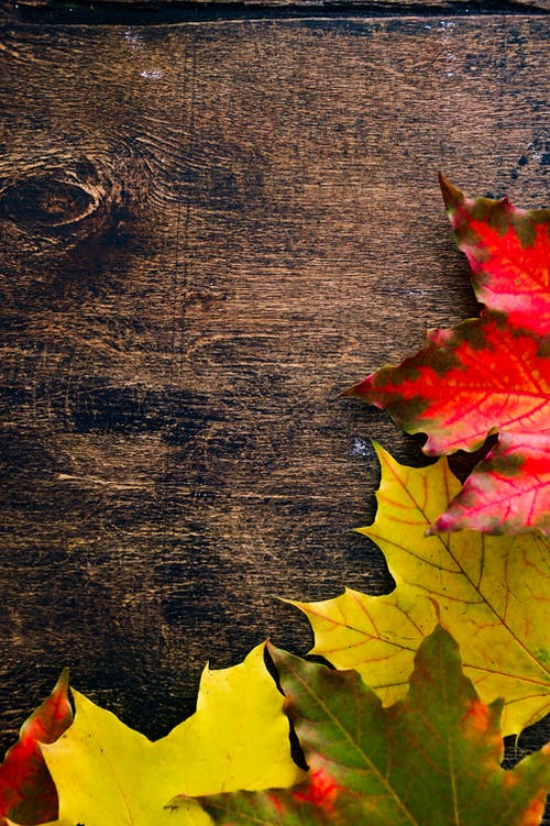 有关下落, 双色, 垂直拍摄的免费素材图片