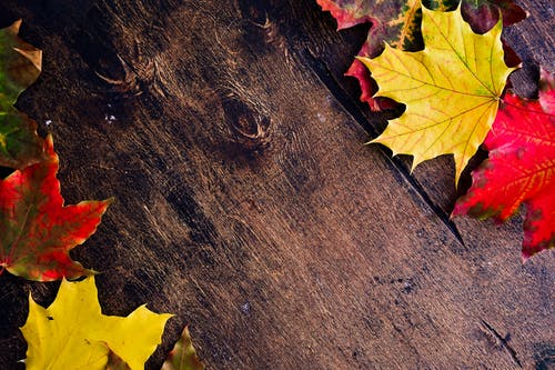 有关下落, 双色, 壁纸的免费素材图片