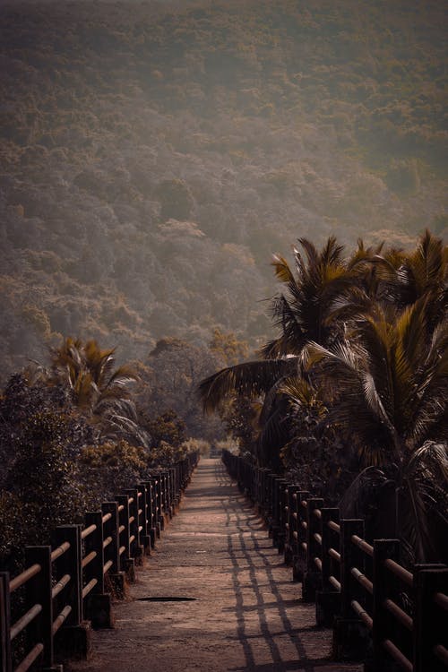 有关人行天橋, 垂直拍摄, 小徑的免费素材图片