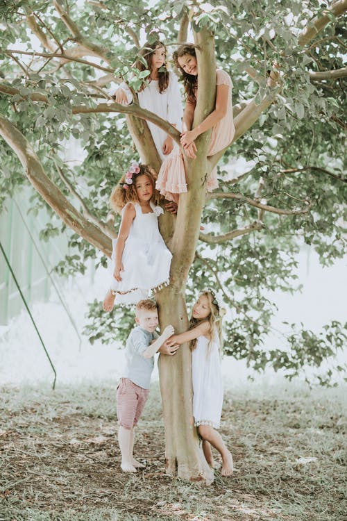 有关一小群人, 一起, 儿童的免费素材图片