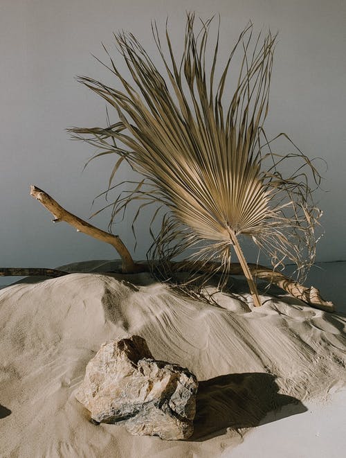 有关不均匀的, 乾旱, 乾燥的免费素材图片