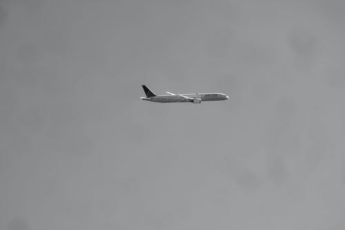 有关交通系统, 灰度摄影, 美国联合航空公司的免费素材图片