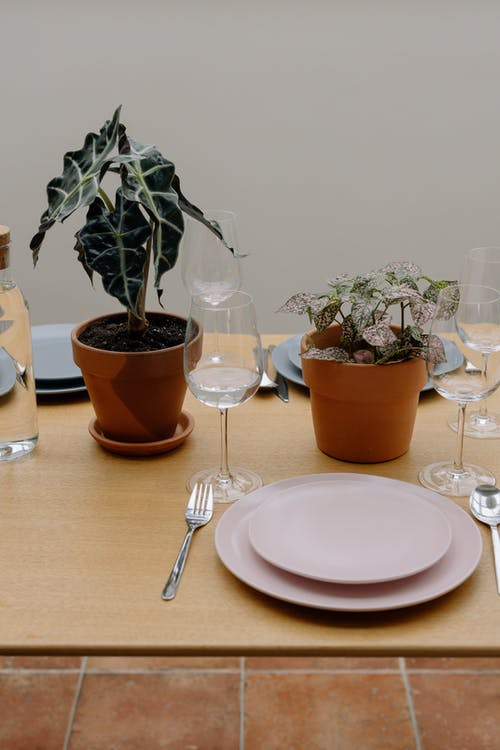 有关厨房的桌子, 叉子, 室内植物的免费素材图片