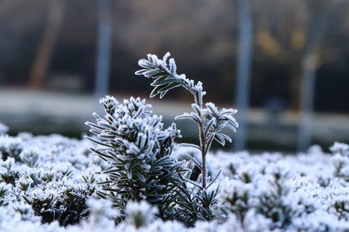 有关冬季, 大雪覆盖, 季节的免费素材图片