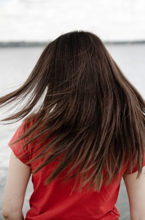 有关垂直拍摄, 後视图, 红色衬衫的免费素材图片