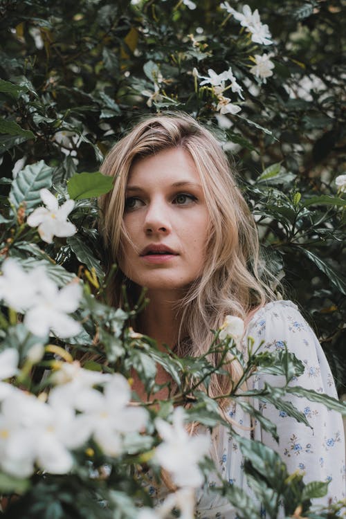 有关佛罗里达, 垂直拍摄, 奥兰多的免费素材图片