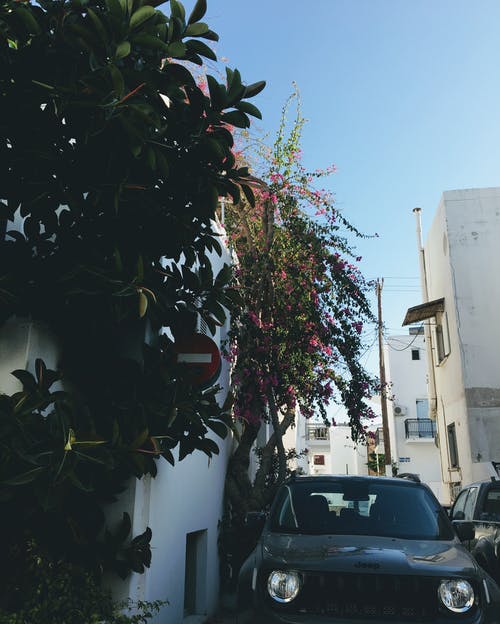 有关光, 城市, 建築的免费素材图片