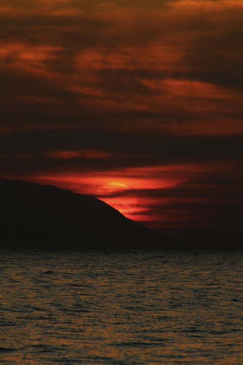 有关剪影, 垂直拍摄, 太陽的免费素材图片