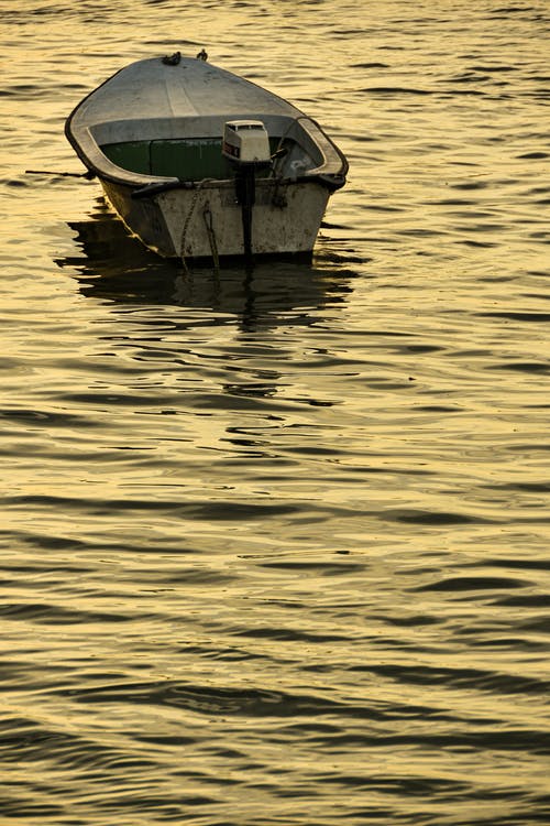 有关垂直拍摄, 招手, 水反射的免费素材图片