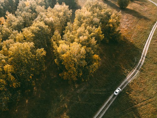 有关交通系統, 旅程, 旅遊的免费素材图片