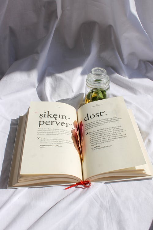 有关优雅, 审美, 审美的的免费素材图片