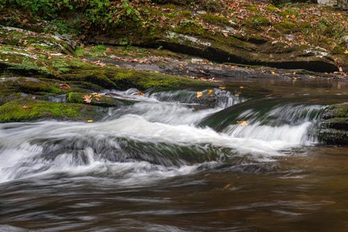 有关天性, 小河, 急流的免费素材图片