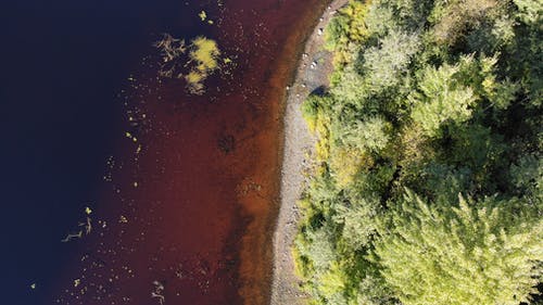 有关天性, 景观, 湖边的免费素材图片