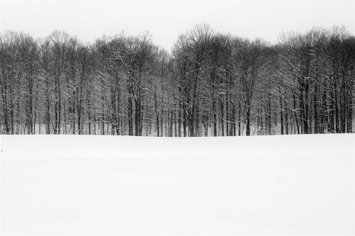 有关冬季, 冷, 冻结的的免费素材图片