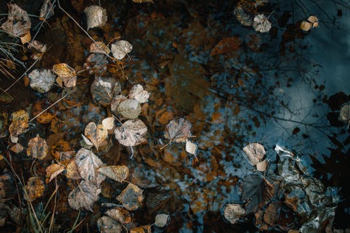 有关反射, 尘土, 水的免费素材图片