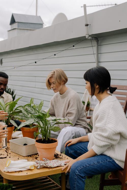 有关咖啡色头发的女人, 土, 多样化的免费素材图片