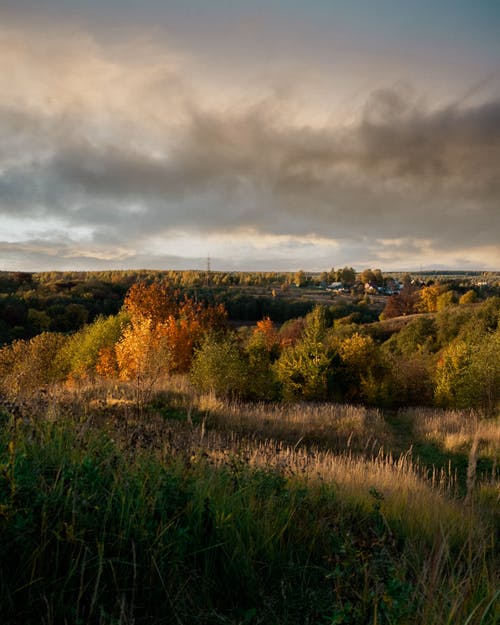 有关垂直拍摄, 天性, 景观的免费素材图片