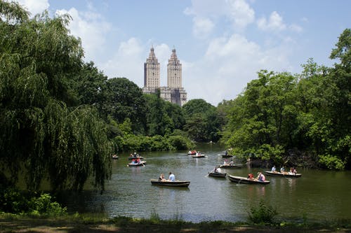 有关中央公園, 休閒, 划船的免费素材图片