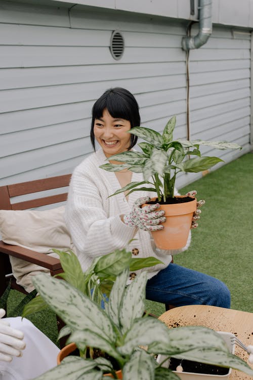 有关咖啡色头发的女人, 坐, 室内植物的免费素材图片