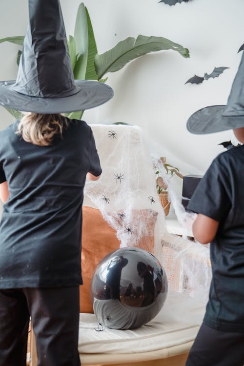 有关t恤, 后视图, 室内的免费素材图片