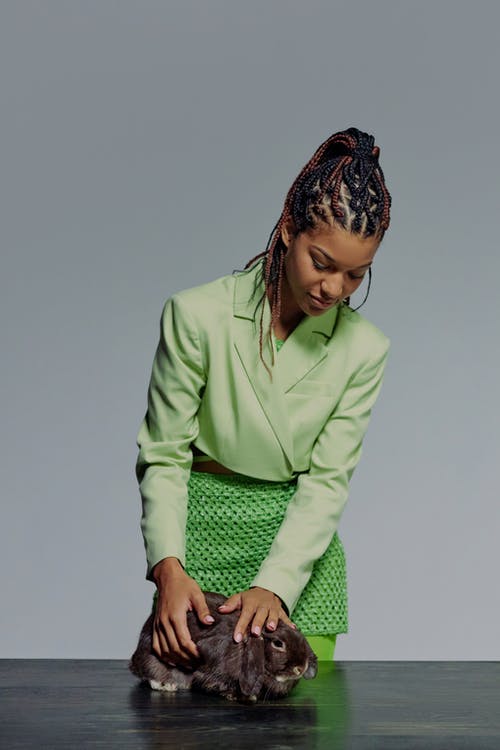 有关兔子, 动物, 可爱的免费素材图片