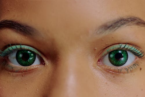 有关化妆品, 地平线, 女人的免费素材图片