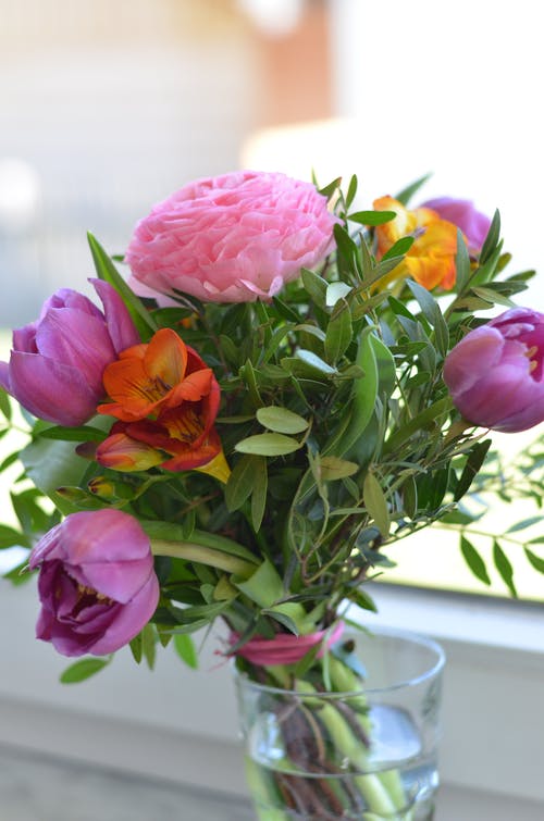 有关什锦的, 垂直拍摄, 植物群的免费素材图片