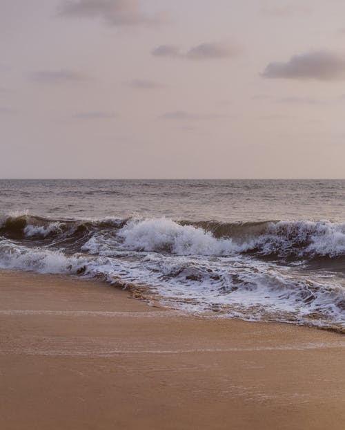 有关垂直拍摄, 海滨, 海滩的免费素材图片