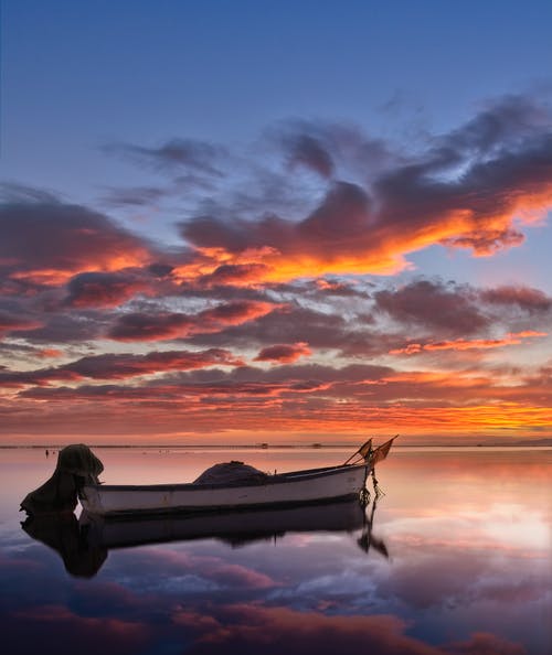 有关垂直拍摄, 日出, 日落的免费素材图片